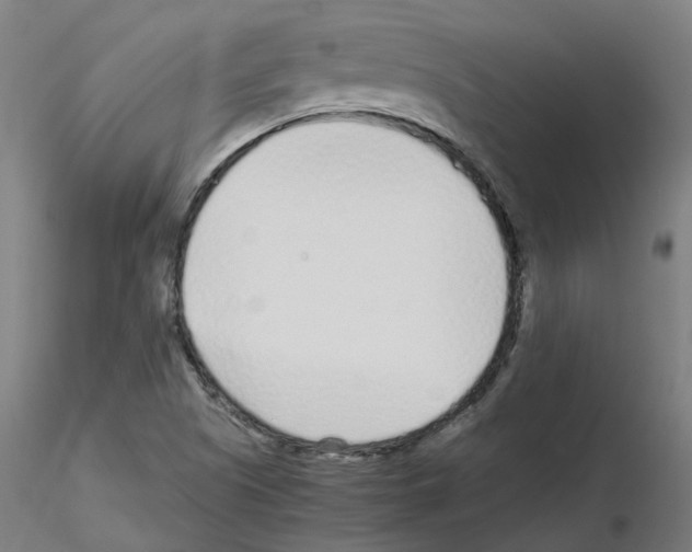X0000115641505200912221259