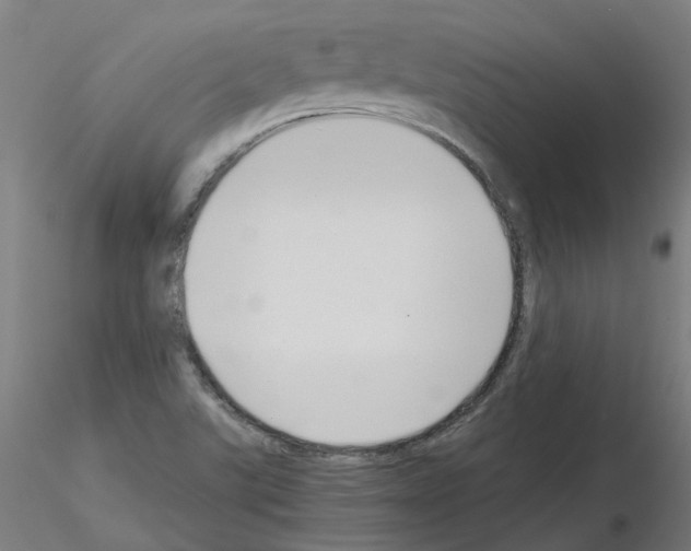 X0000115641507200912221259