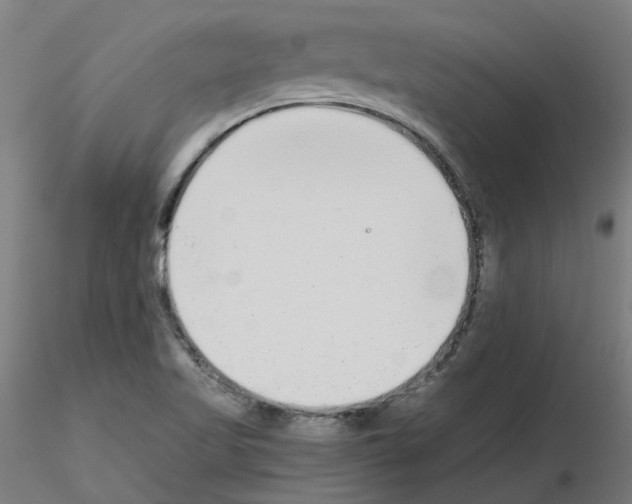 X0000115641509200912221259