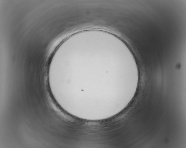 X0000115641511200912221259
