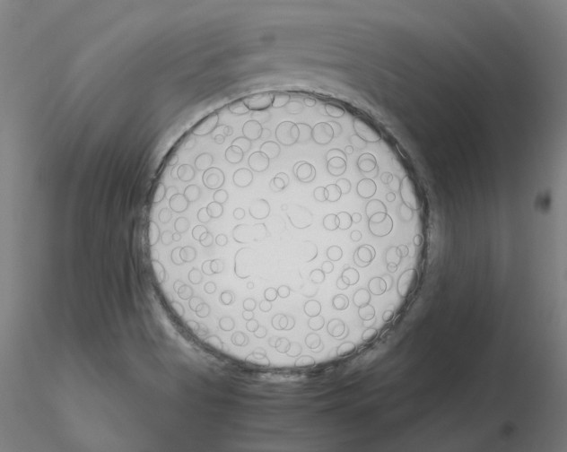 X0000115641513200912221259