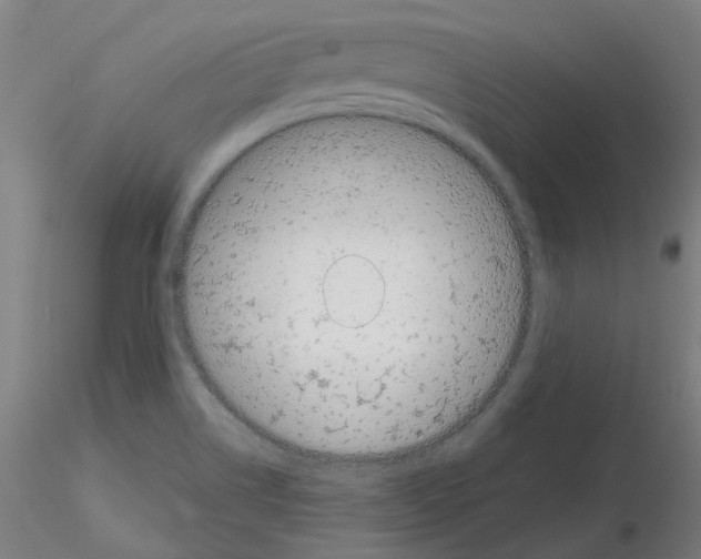 X0000115641514200912221259