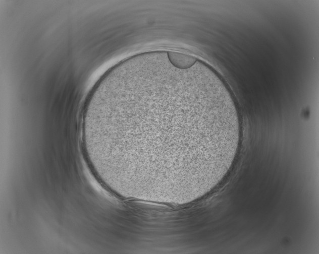 X0000115641515200912221259