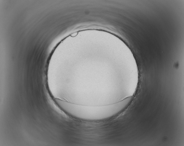 X0000115641518200912221259