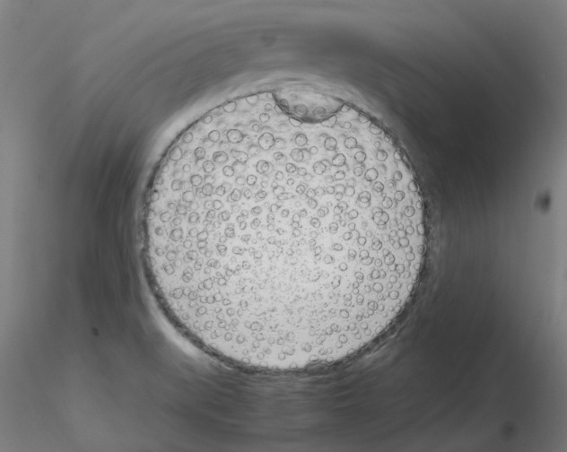 X0000115641519200912221259