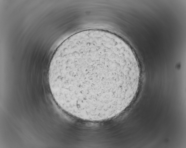 X0000115641521200912221259
