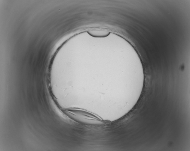 X0000115641523200912221259