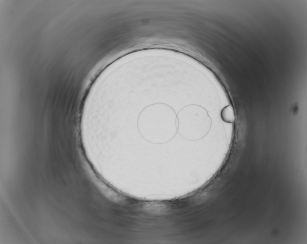 X0000115641525200912221259