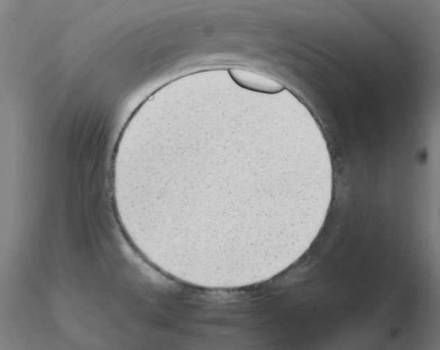 X0000115641527200912221259