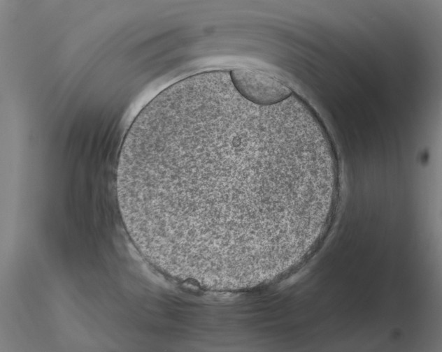 X0000115641529200912221259