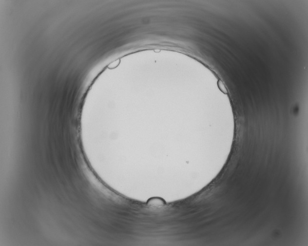 X0000115641531200912221259