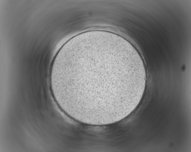 X0000115641533200912221259