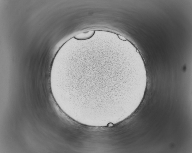 X0000115641534200912221259