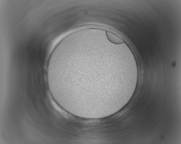 X0000115641535200912221259