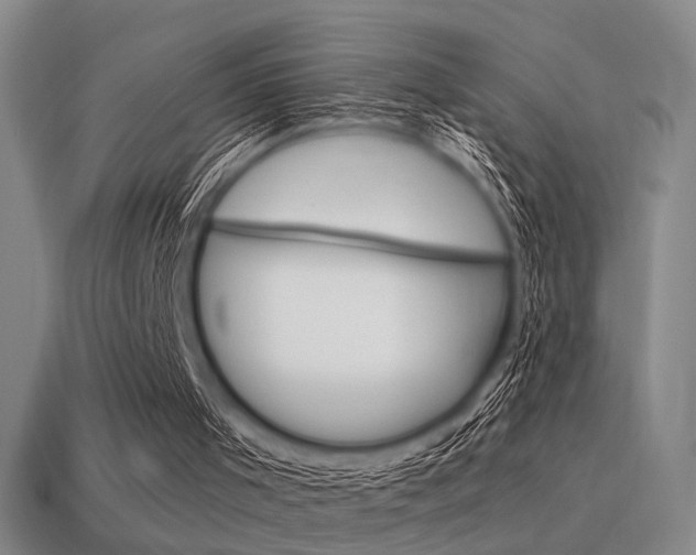X0000115650001200911101126