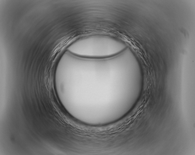 X0000115650002200911101126