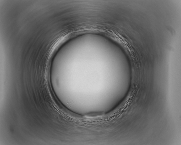 X0000115650003200911101126
