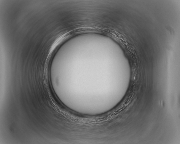 X0000115650004200911101126