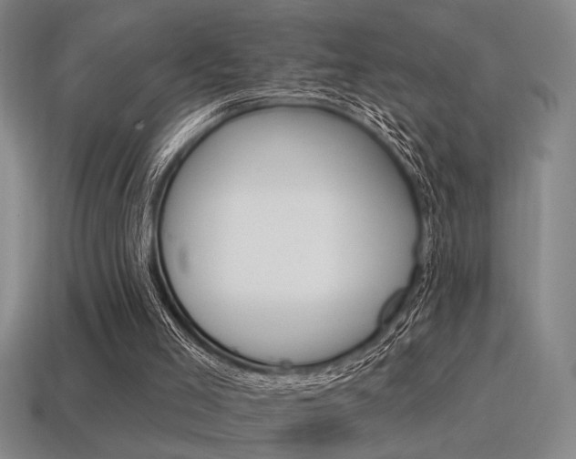 X0000115650005200911101126