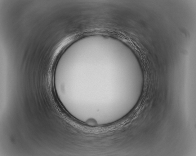 X0000115650006200911101126