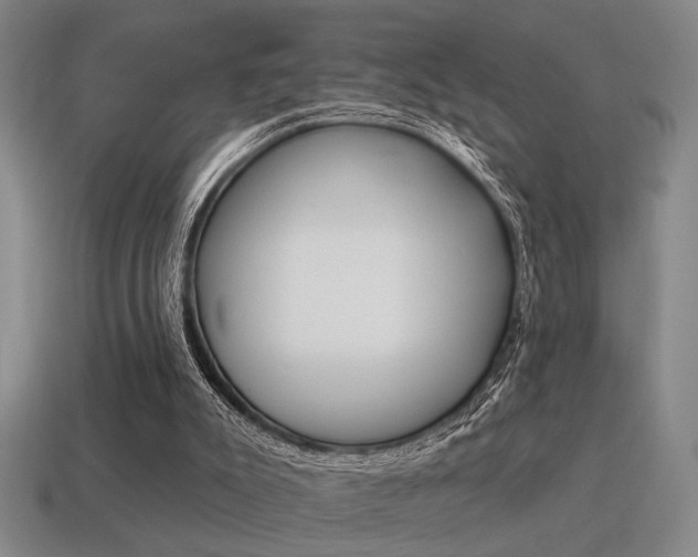X0000115650007200911101126