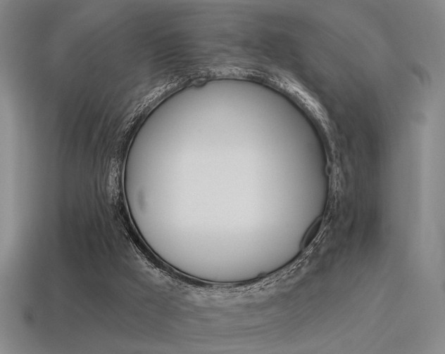 X0000115650009200911101126
