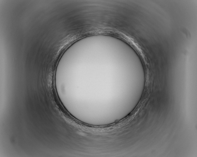 X0000115650010200911101126