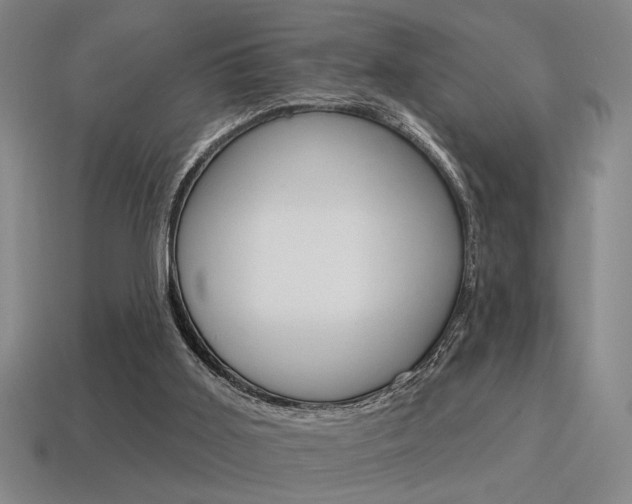 X0000115650011200911101126