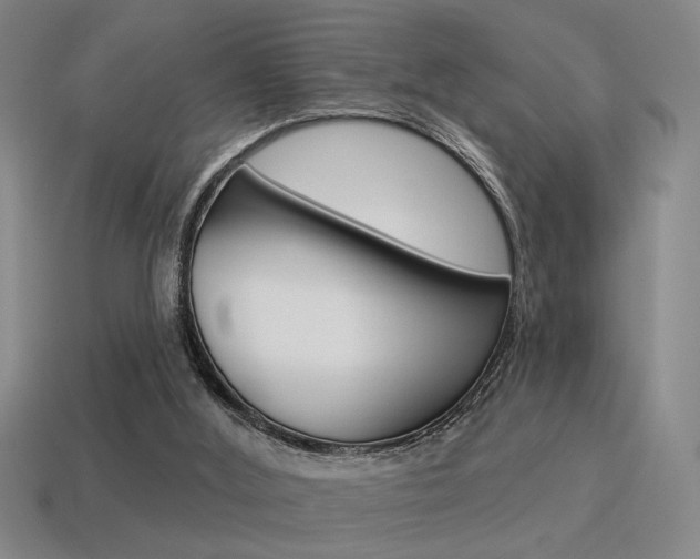 X0000115650012200911101126