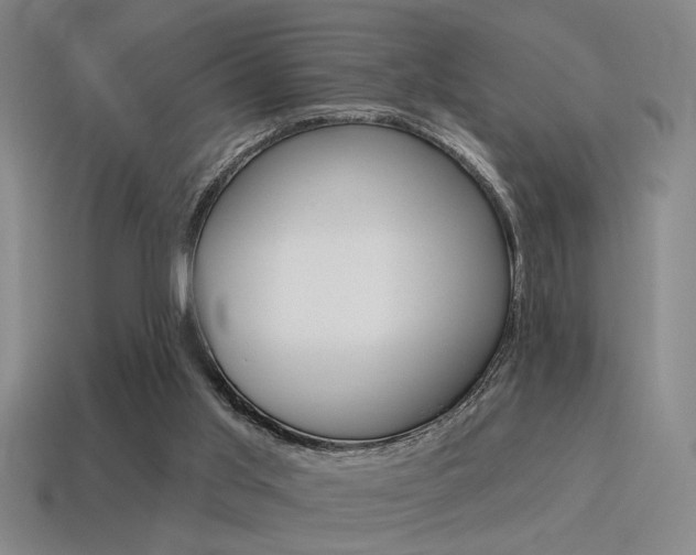 X0000115650013200911101126