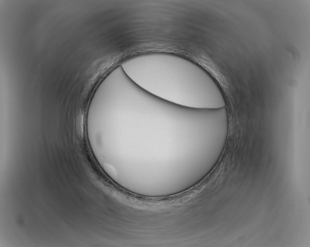 X0000115650014200911101126