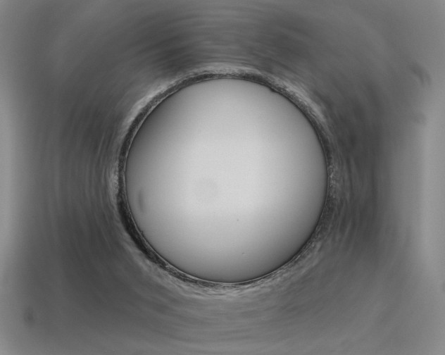 X0000115650015200911101126