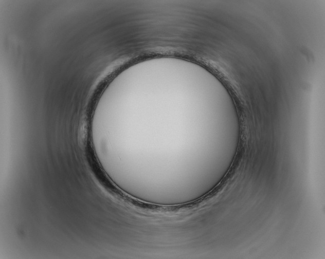 X0000115650016200911101126