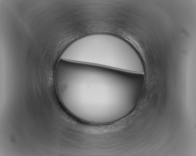 X0000115650017200911101126