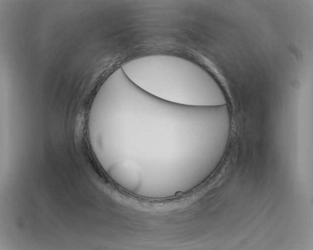 X0000115650018200911101126