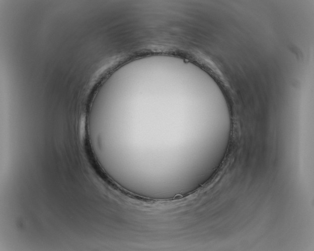 X0000115650019200911101126