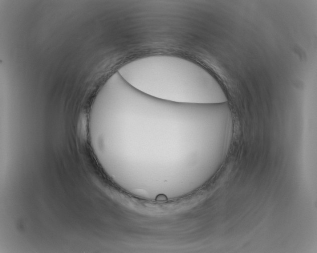X0000115650022200911101126