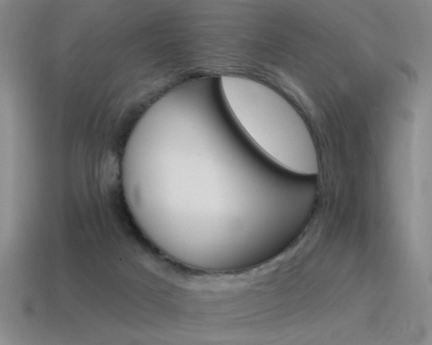 X0000115650025200911101126