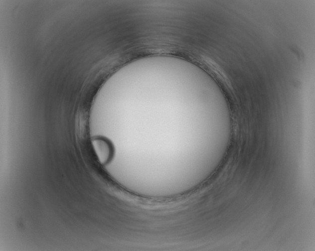 X0000115650026200911101126