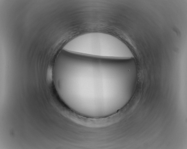 X0000115650027200911101126