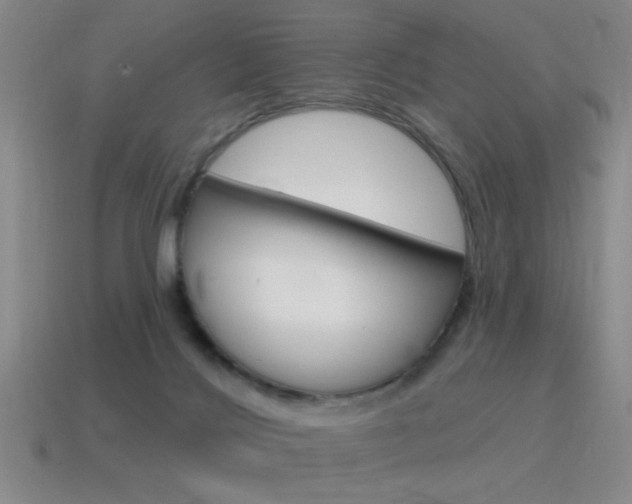 X0000115650028200911101126