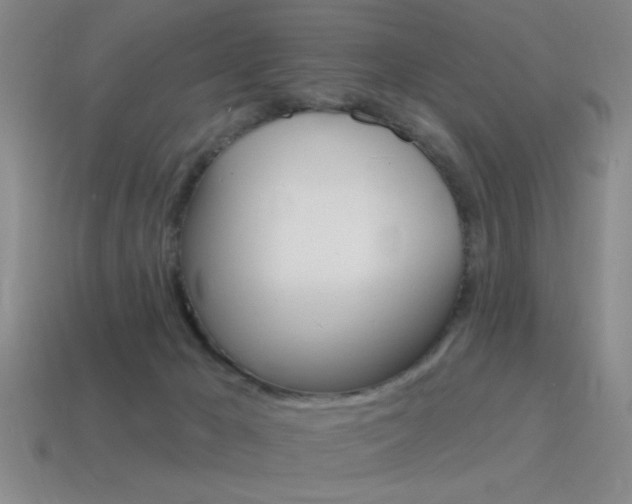 X0000115650029200911101126