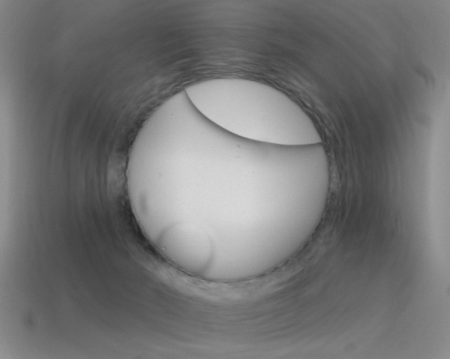 X0000115650030200911101126