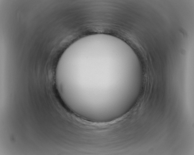 X0000115650031200911101126