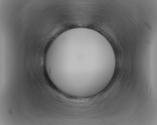 X0000115650032200911101126