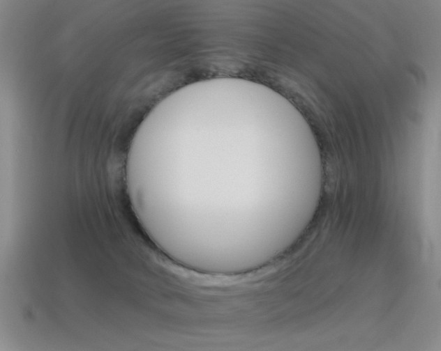 X0000115650034200911101126