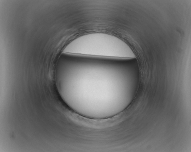 X0000115650035200911101126