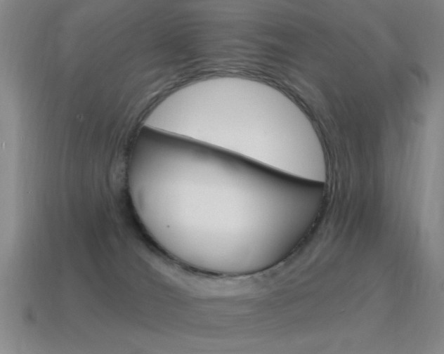 X0000115650036200911101126