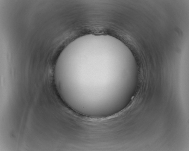 X0000115650037200911101126