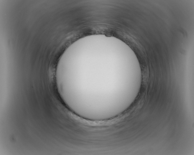 X0000115650038200911101126